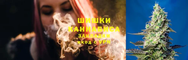 ГАЛЛЮЦИНОГЕННЫЕ ГРИБЫ Заволжск