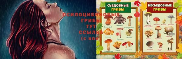 ГАЛЛЮЦИНОГЕННЫЕ ГРИБЫ Заволжск