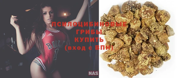 прущий лед Кущёвская